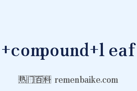 +compound+leaf是什么意思的图片